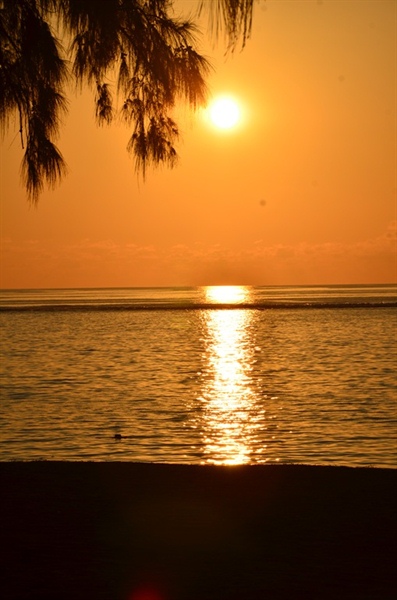 L' île Maurice, ses paysages